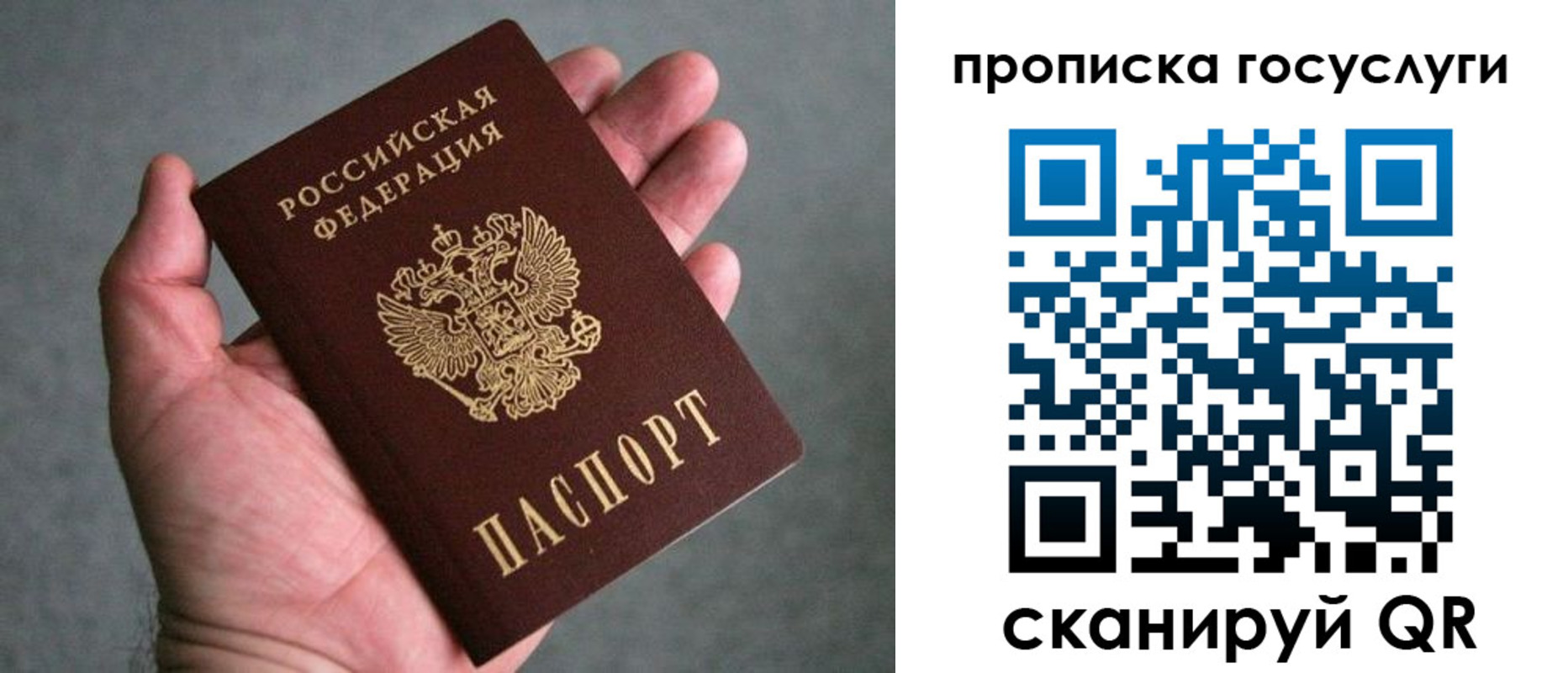 прописка 2025 в Михайловке